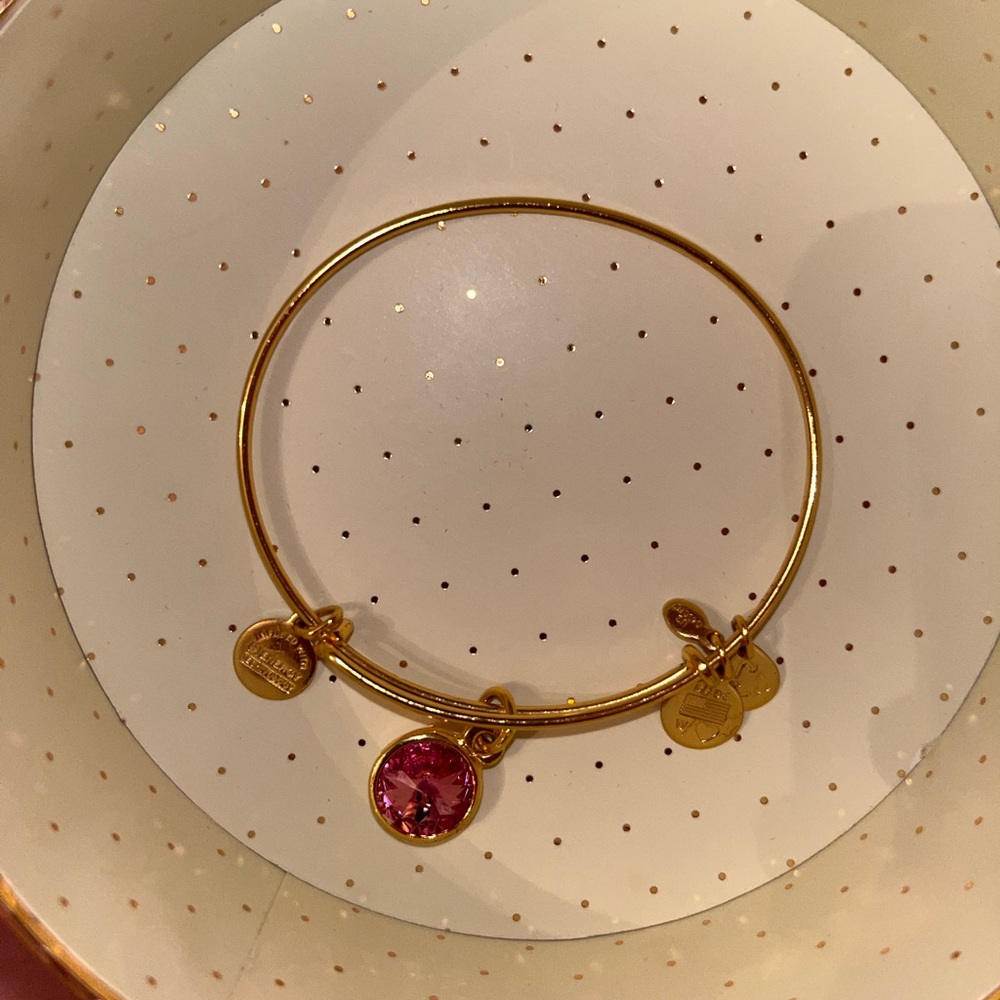 ALEX & ANI Bracelet Set (2 Bracelets) - Picture 4 of 7